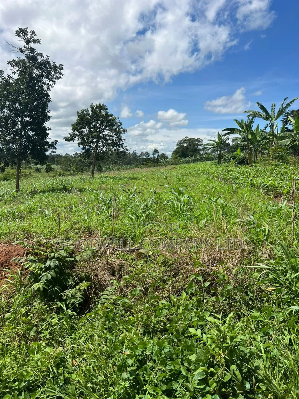 1 Acre of Land in Kira Kitukutwe 800mtrs Off Main Road in Central Division