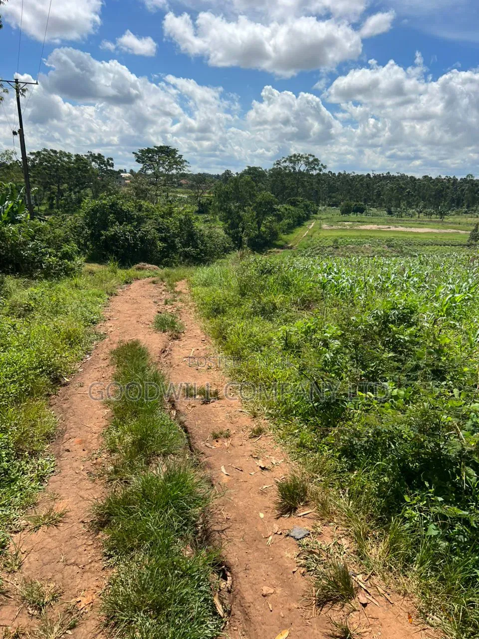 1 Acre of Land in Kira Kitukutwe 800mtrs Off Main Road in Central Division
