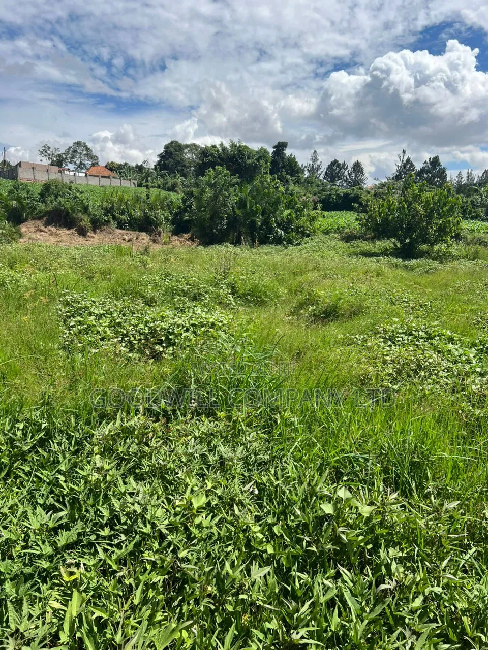 4 Acres of Low Land in Kitukutwe Kira Good for Farming in Central Division