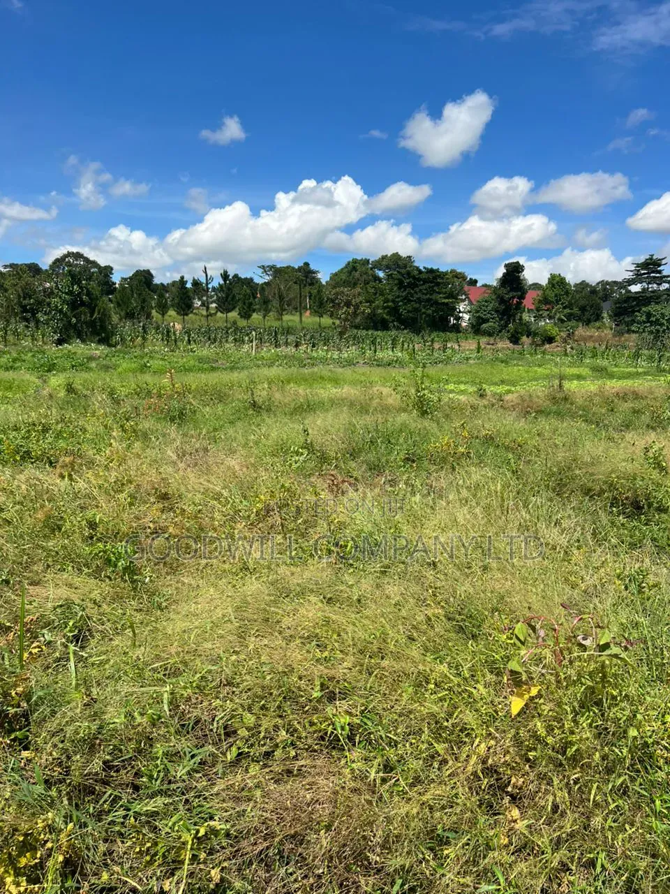 4 Acres of Low Land in Kitukutwe Kira Good for Farming in Central Division