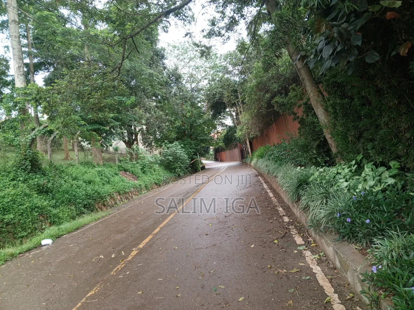 4bdrm Bungalow in Kololo Property, Central Division for rent in Central Division