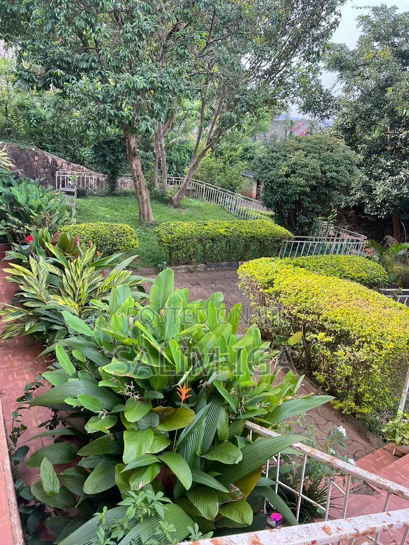4bdrm Bungalow in Kololo Property, Central Division for rent in Central Division