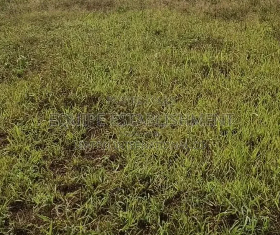 100×100 Plot for in Gayaza Kabubu With a Ready Title in Central Division