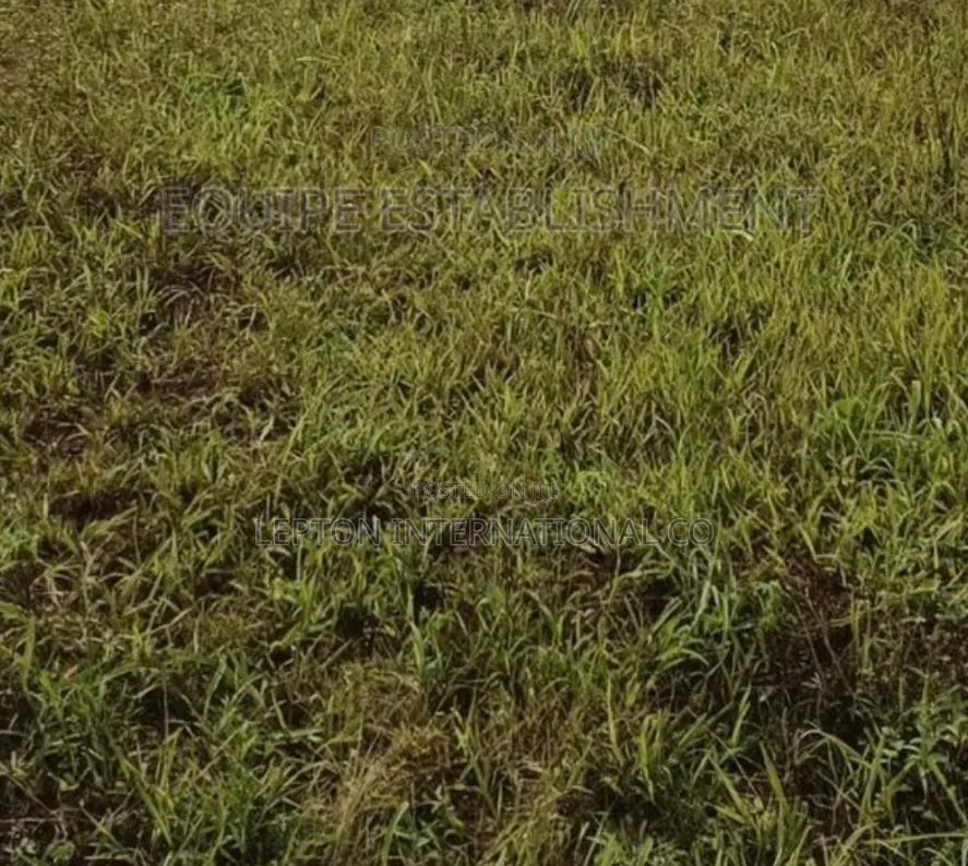 100×100 Plot for in Gayaza Kabubu With a Ready Title in Central Division