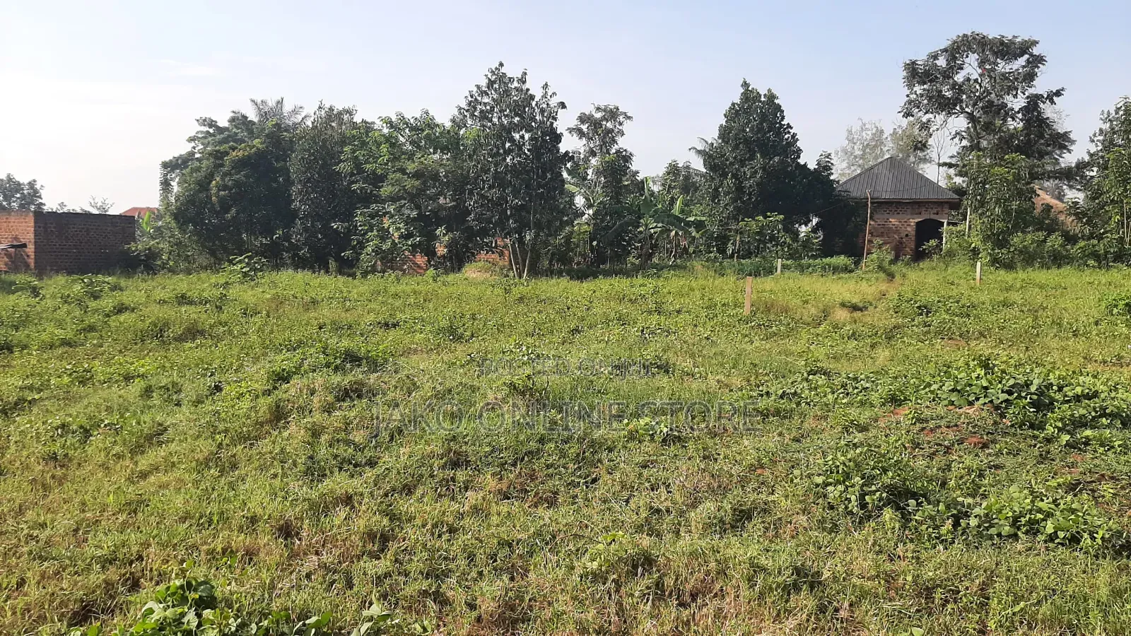 12 Decimals Plots for Sale in Kiwenda- Mairye in Wakiso / Wakiso