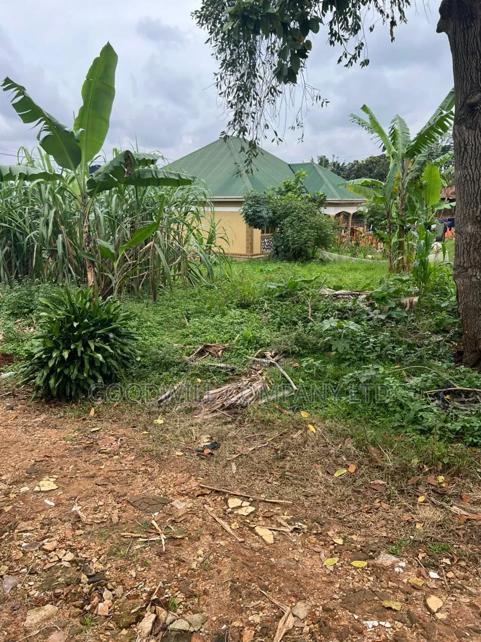 100*70feet Plot of Land in Sonde Few Meters From Tarmac in Central Division