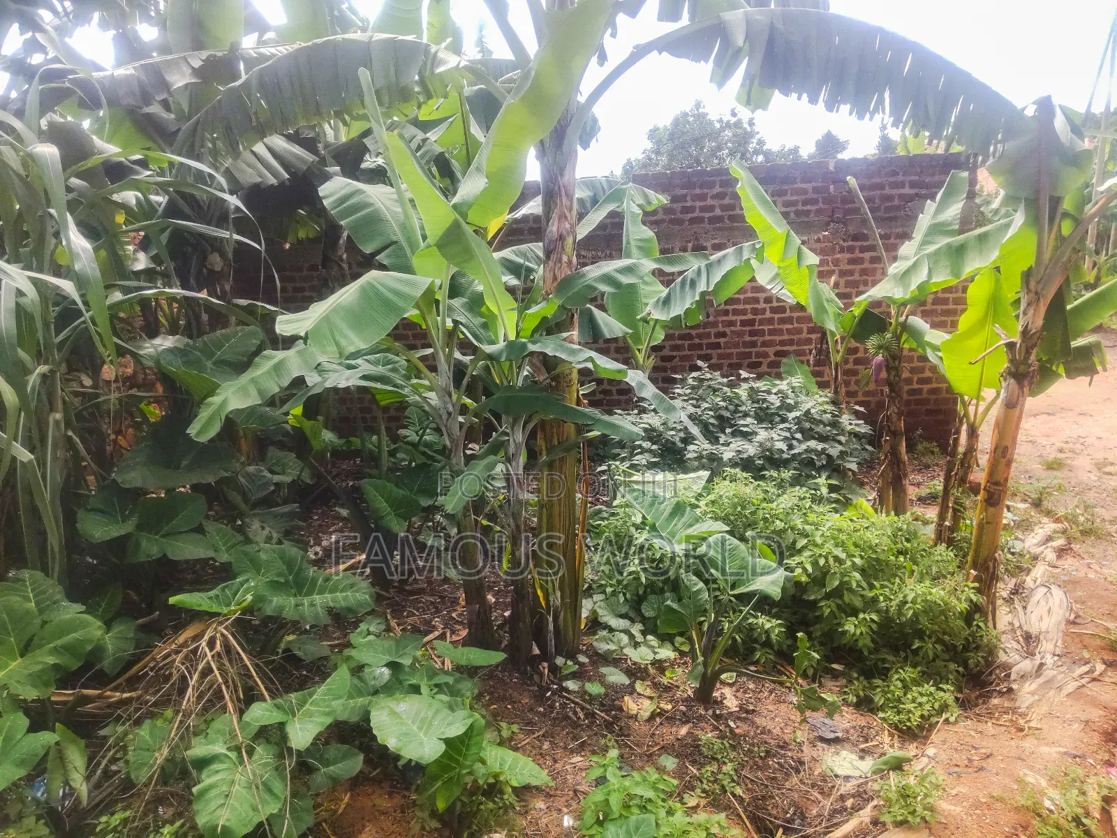 3bdrm House in Tanda Entebbe, Katabi for sale in Katabi