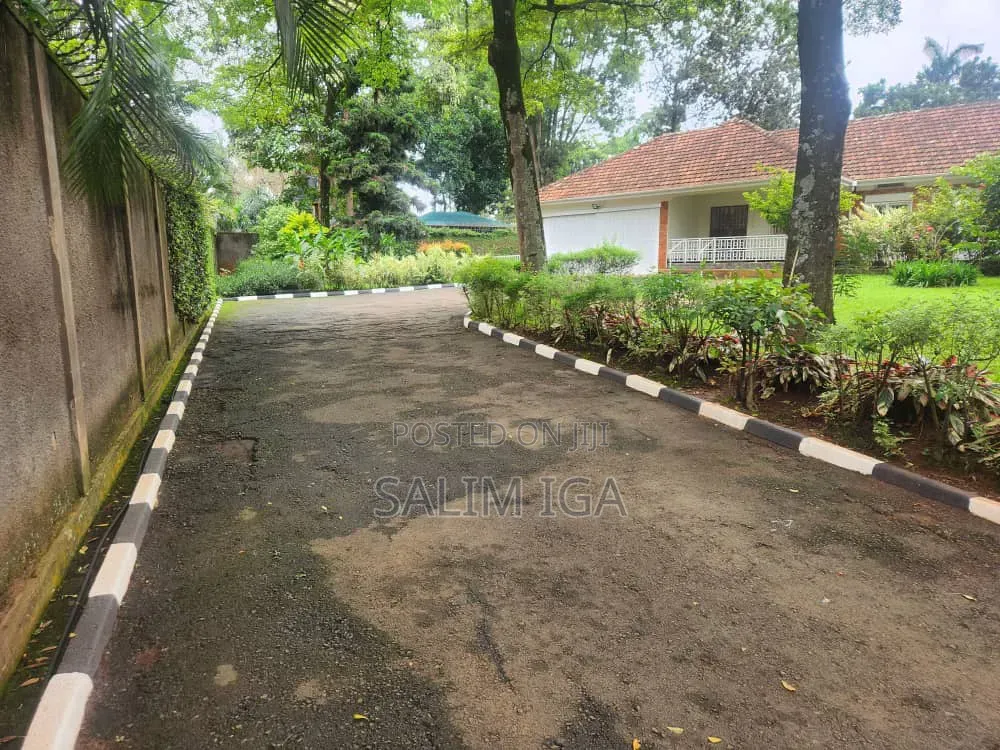 4bdrm Bungalow in Kololo Property, Central Division for rent in Central Division