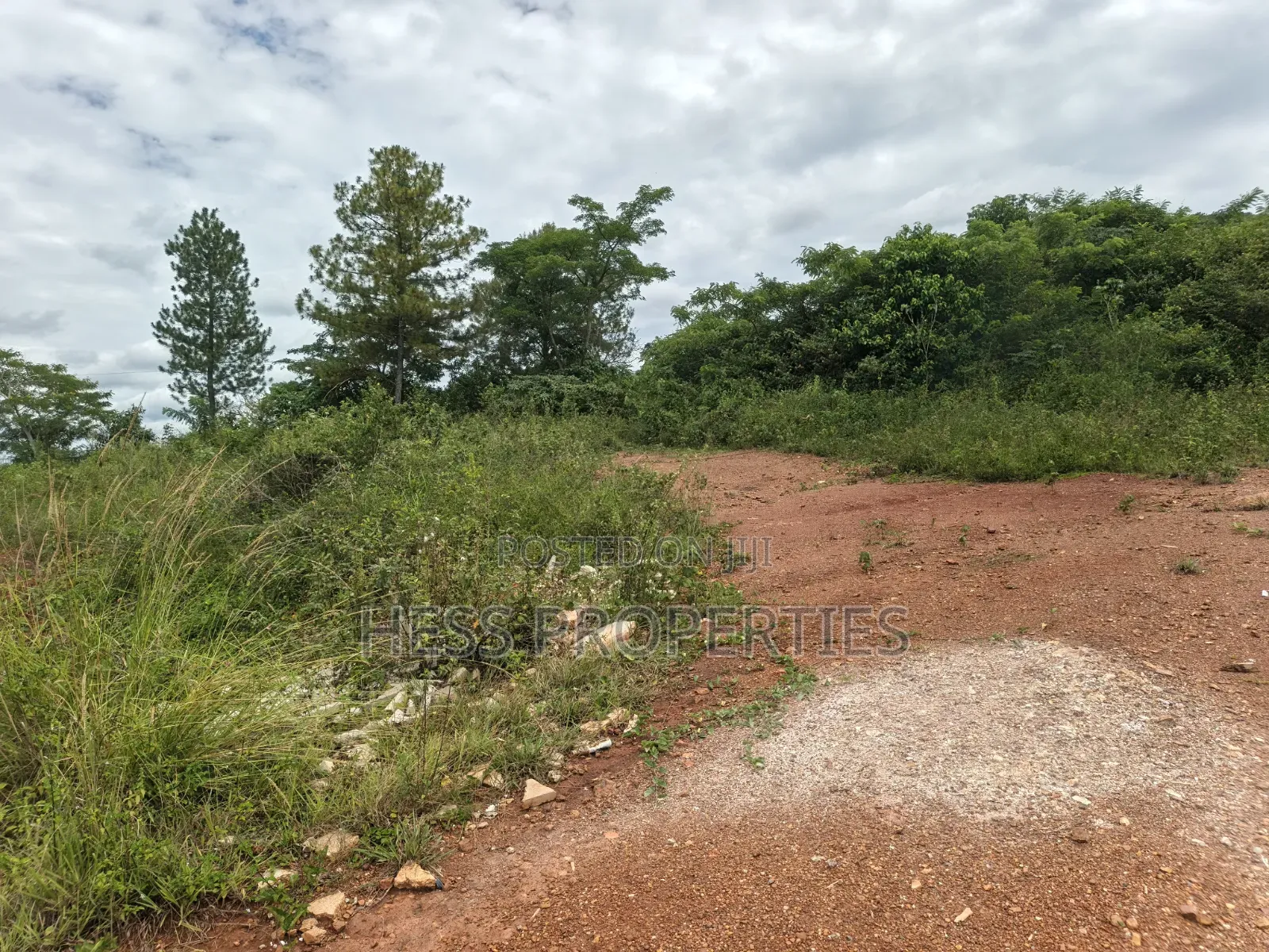 Commercial Land in Hoima in Hoima