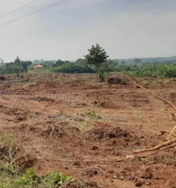 50 by 100 for Sale in Kira Kitukutwe Namugongo in Central Division