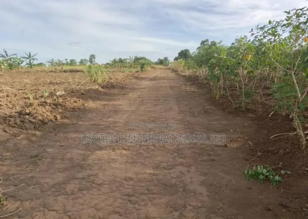 50 by 100 for Sale in Kira Kitukutwe Namugongo in Central Division