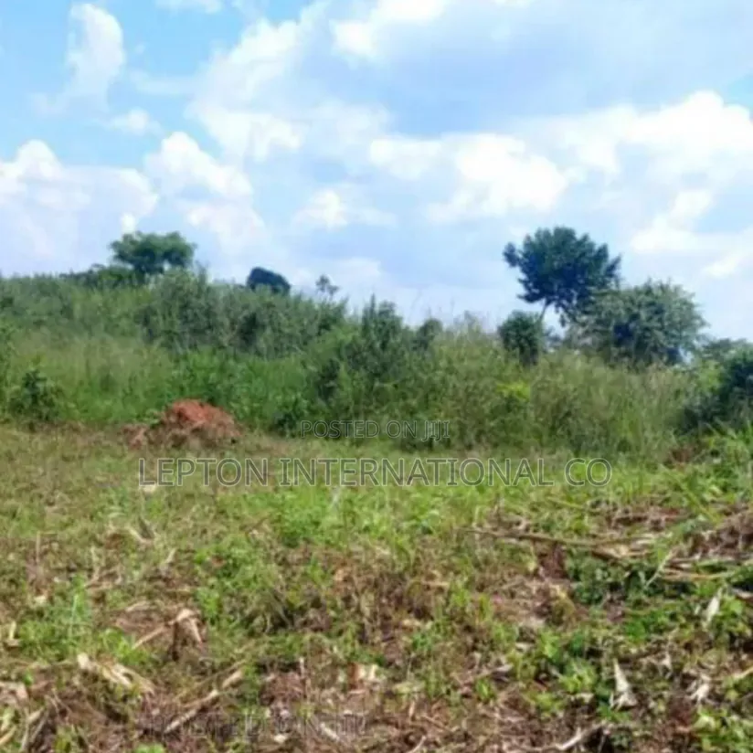 50 by 100 in Magogo Kakiri Ready With Land Title,Few Plots Remaining. in Central Division