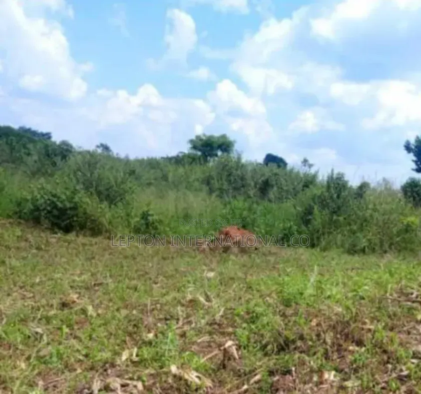 50 by 100 in Magogo Kakiri Ready With Land Title,Few Plots Remaining. in Central Division