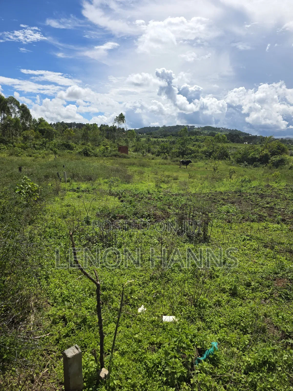 Sisa Ngongolo Plot in Ssisa