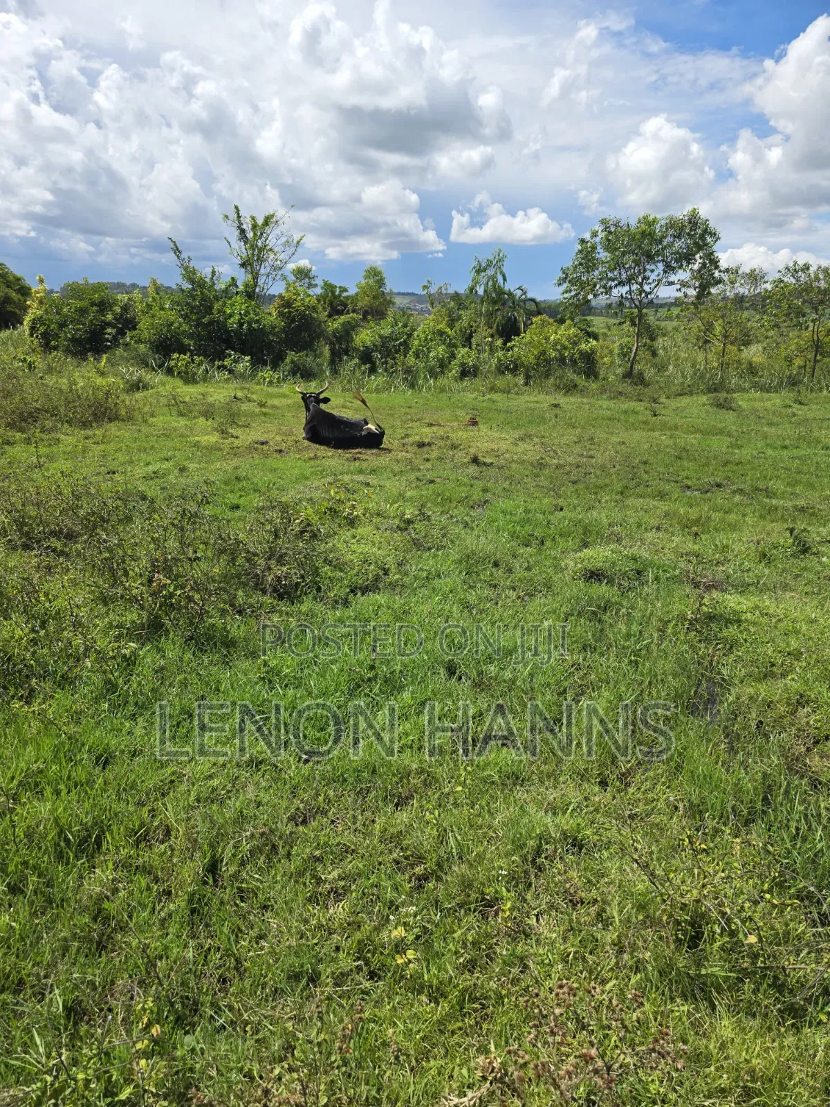 Sisa Ngongolo Plot in Ssisa
