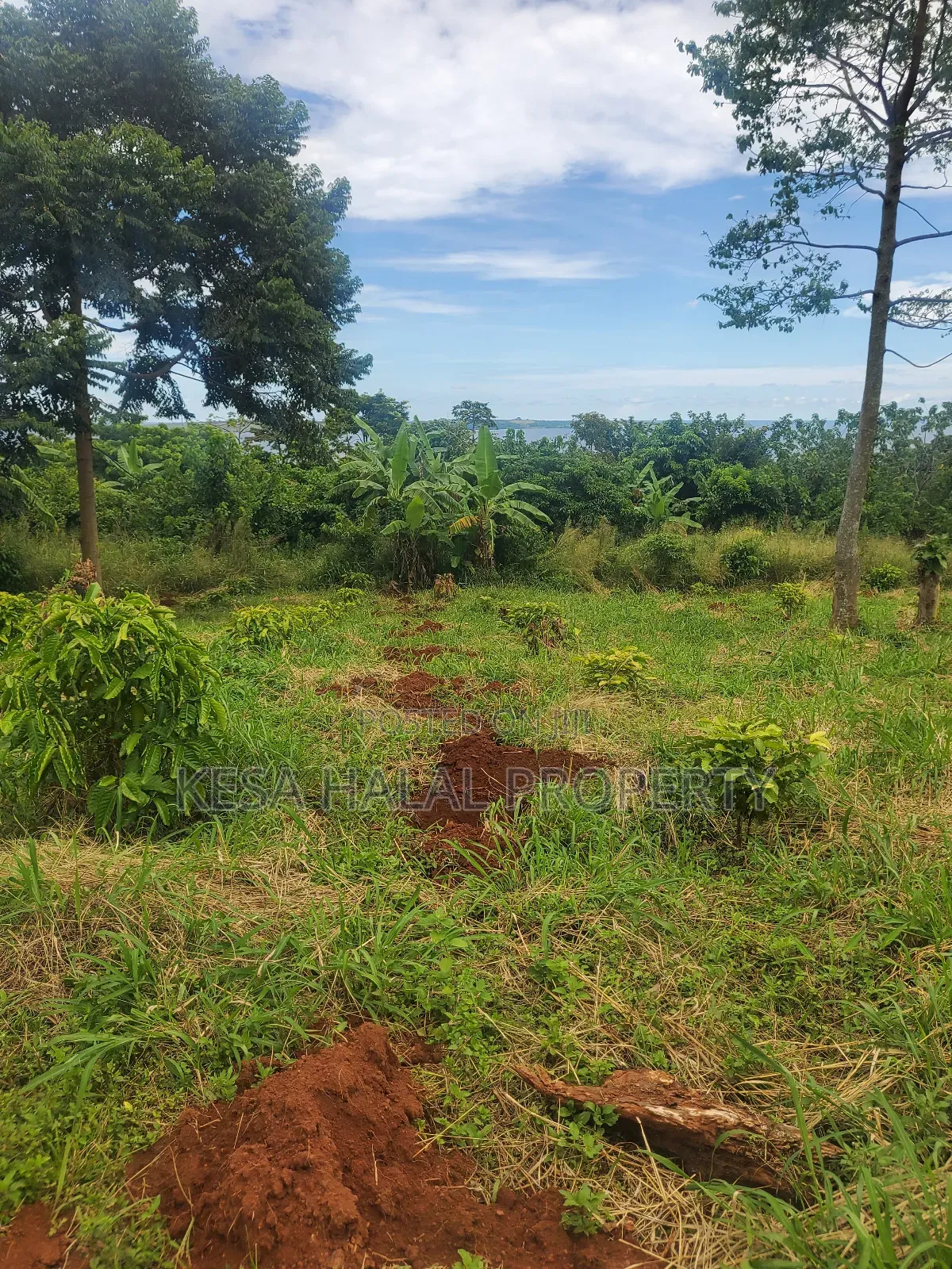 Lake View 1.72 Acres at Gaba Buyikwe All Goes for 40m Only. in Ntenjeru / Mukono