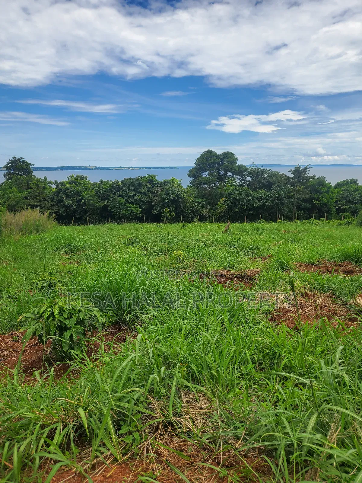 Lake View 1.72 Acres at Gaba Buyikwe All Goes for 40m Only. in Ntenjeru / Mukono