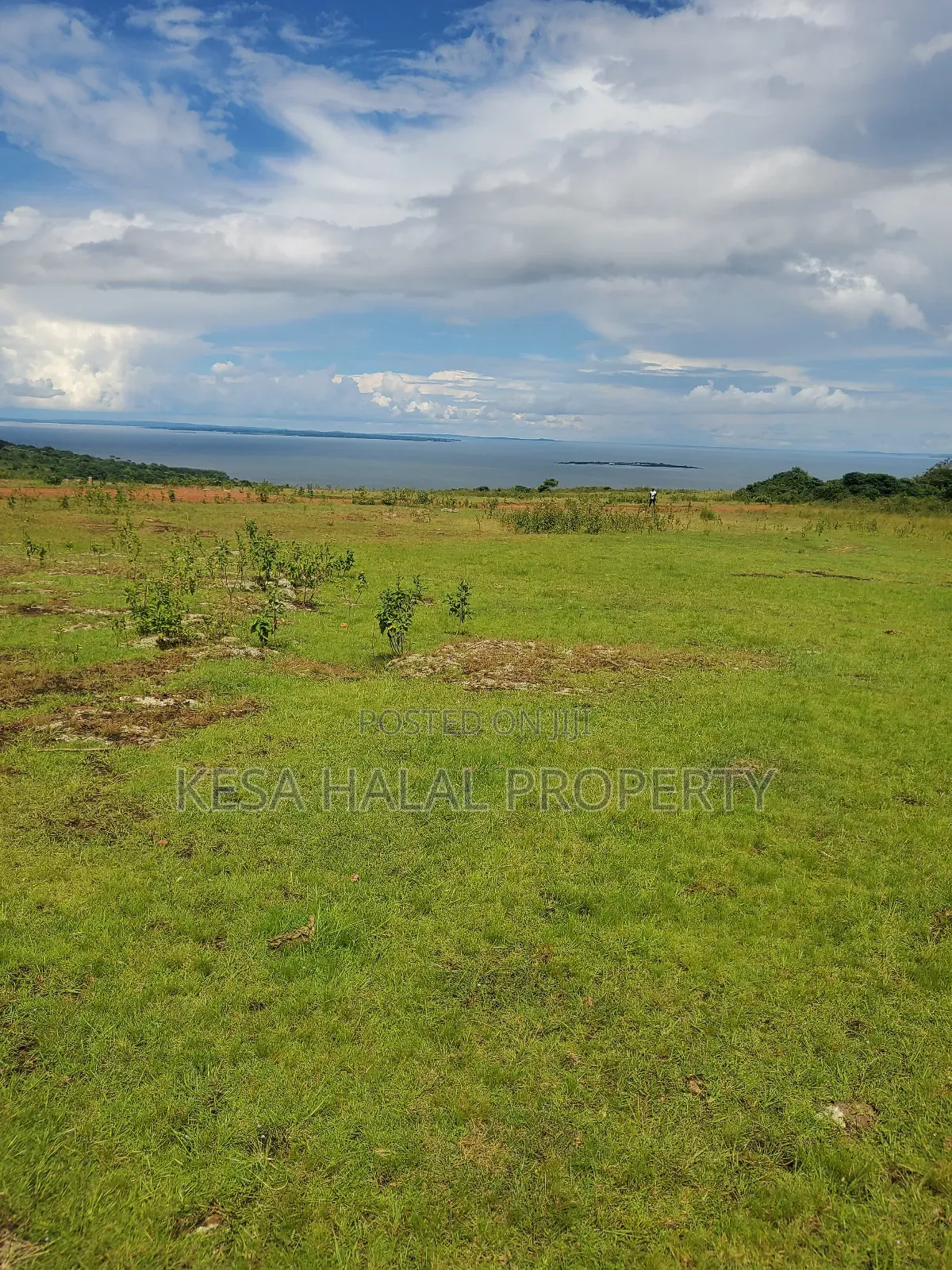 Fantastic View 3.7 Acres for Sale at Buikwe Just 35m Per Acre in Ntenjeru / Mukono