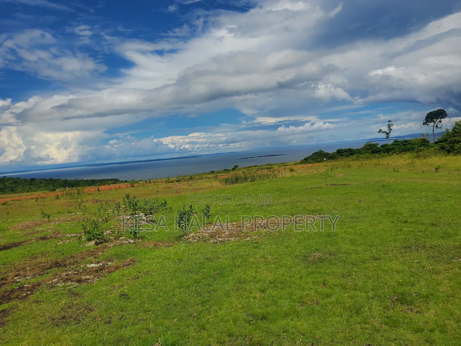 Fantastic View 3.7 Acres for Sale at Buikwe Just 35m Per Acre in Ntenjeru / Mukono
