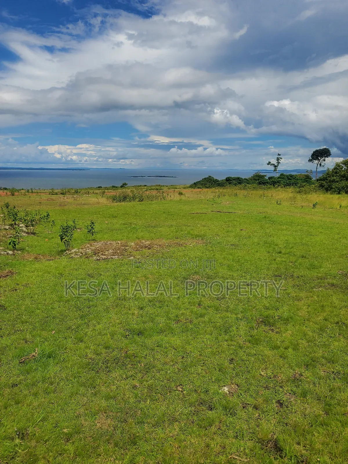 Fantastic View 3.7 Acres for Sale at Buikwe Just 35m Per Acre in Ntenjeru / Mukono