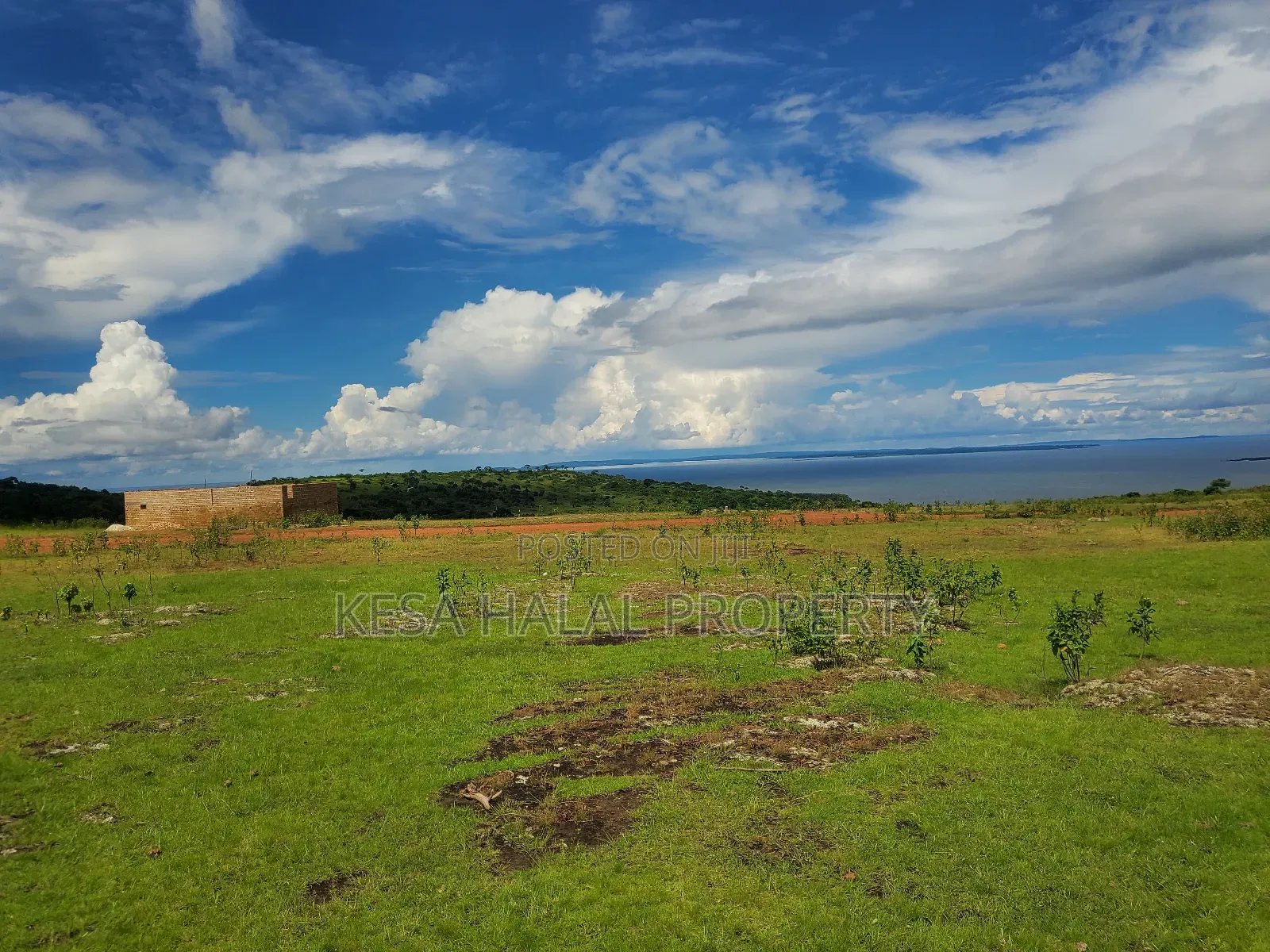 Fantastic View 3.7 Acres for Sale at Buikwe Just 35m Per Acre in Ntenjeru / Mukono
