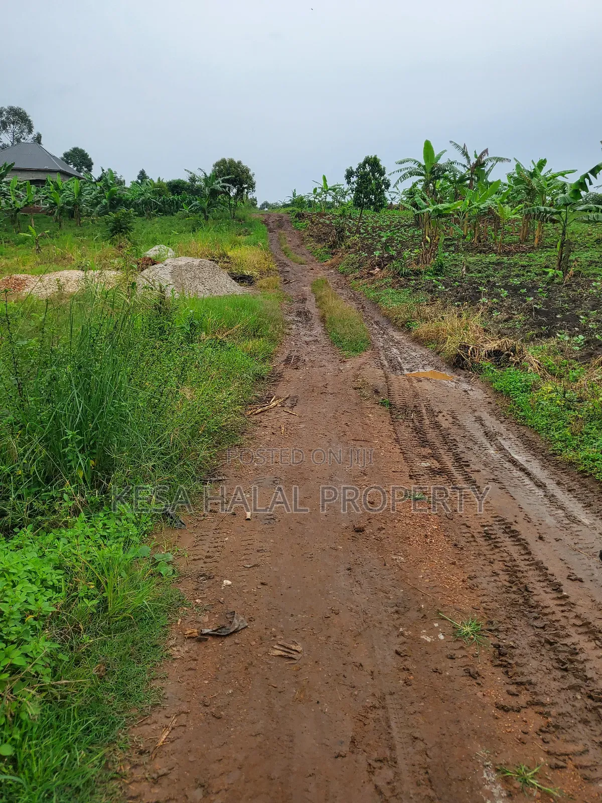1.7 Acre Good Kisenyi Land Here at Kabonge 2km Off Bombo Rd All 50m in Gombe