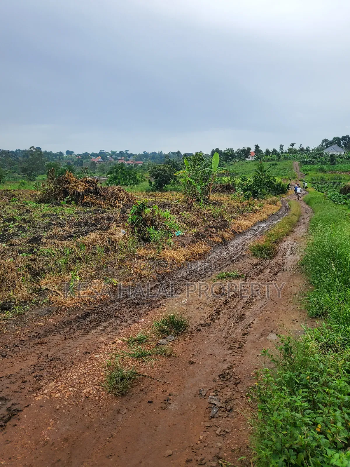 1.7 Acre Good Kisenyi Land Here at Kabonge 2km Off Bombo Rd All 50m in Gombe
