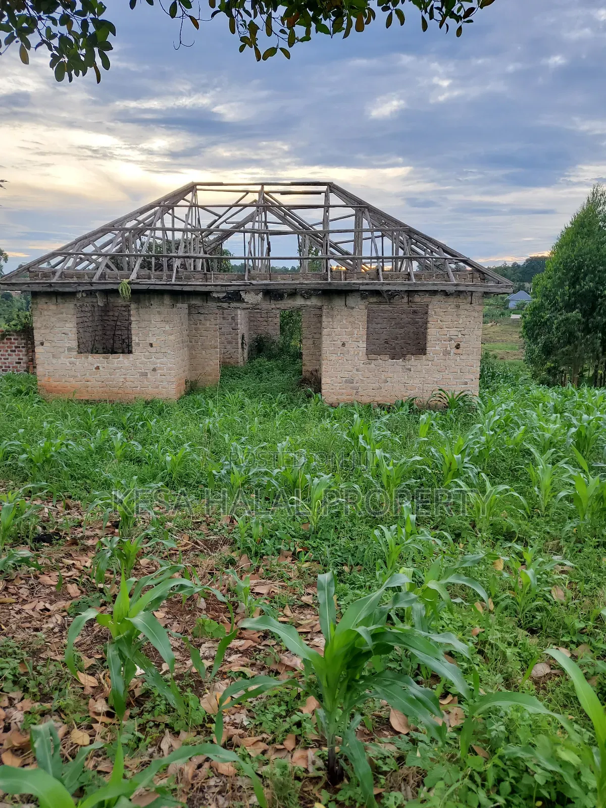 Good Land 1.37 Acre All 60m in Gombe