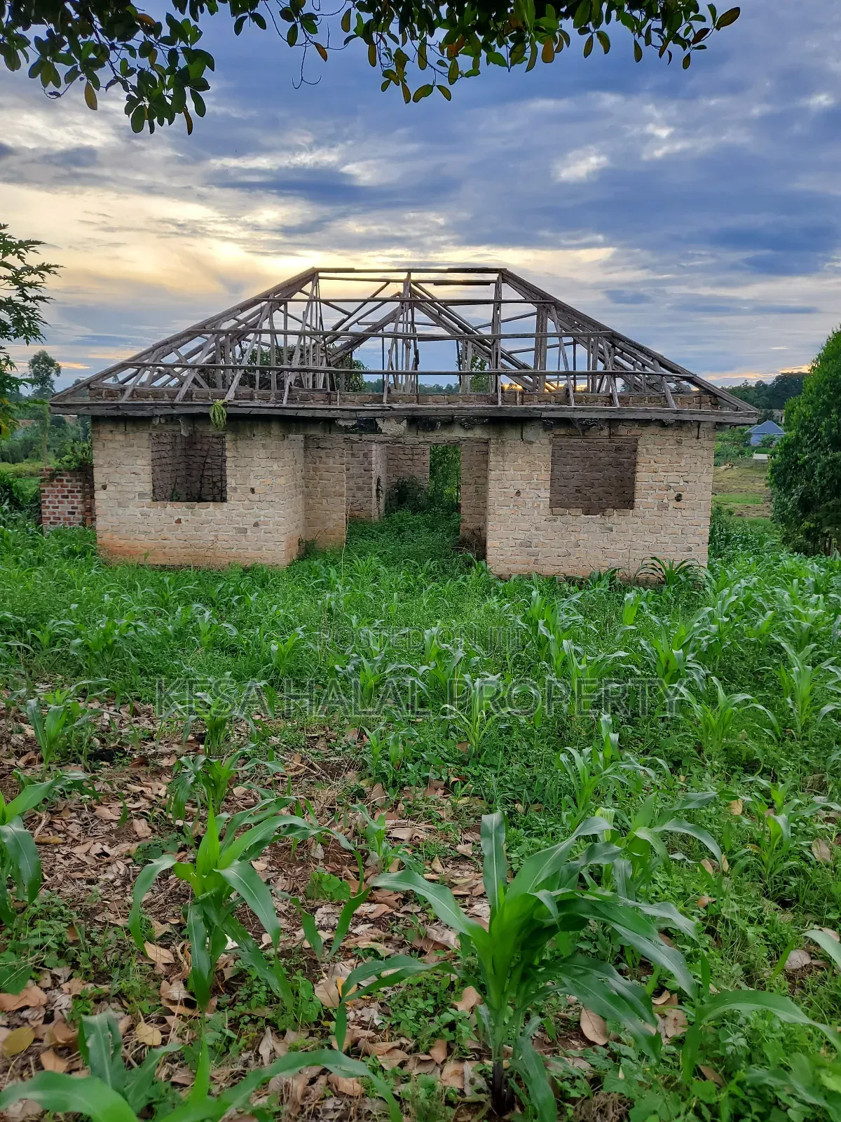 Good Land 1.37 Acre All 60m in Gombe