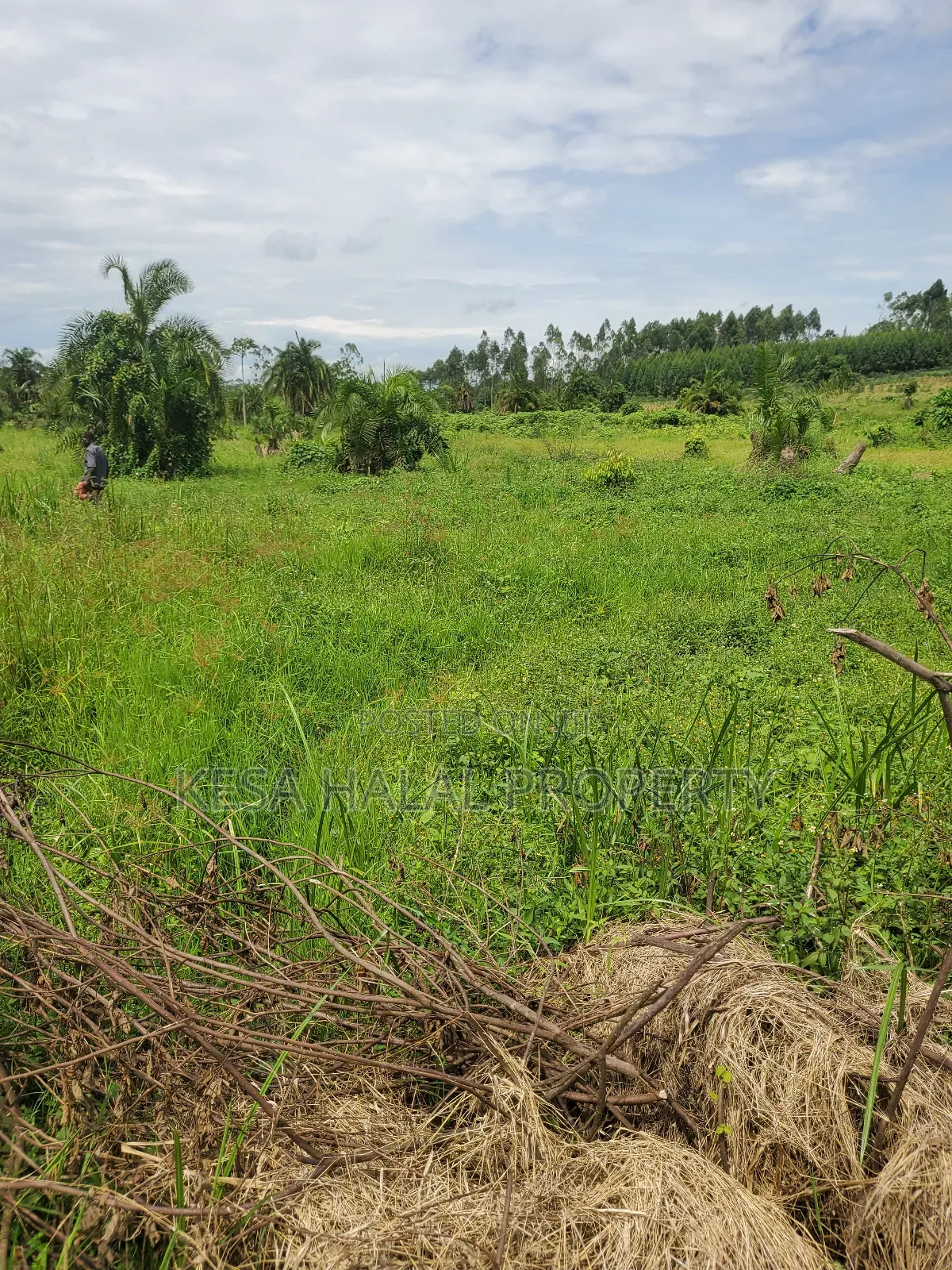 Kisenyi Land Titled on Semuto Road in Masulita