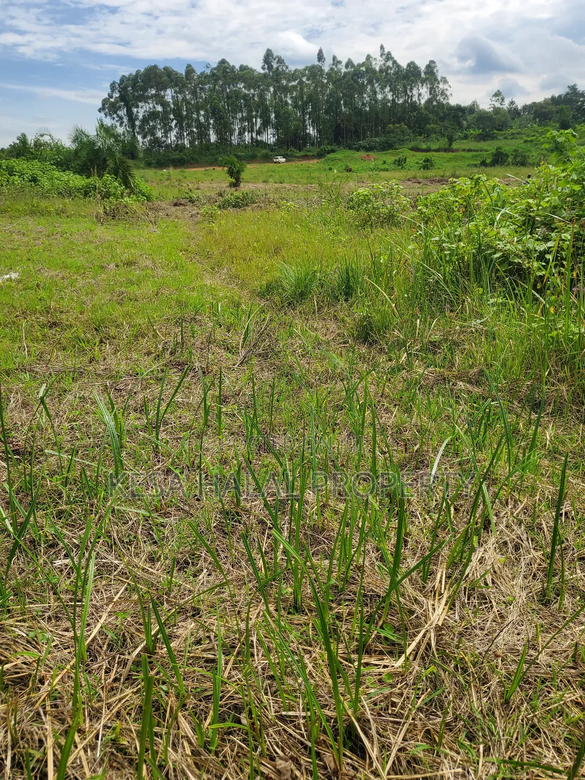 Kisenyi Land Titled on Semuto Road in Masulita