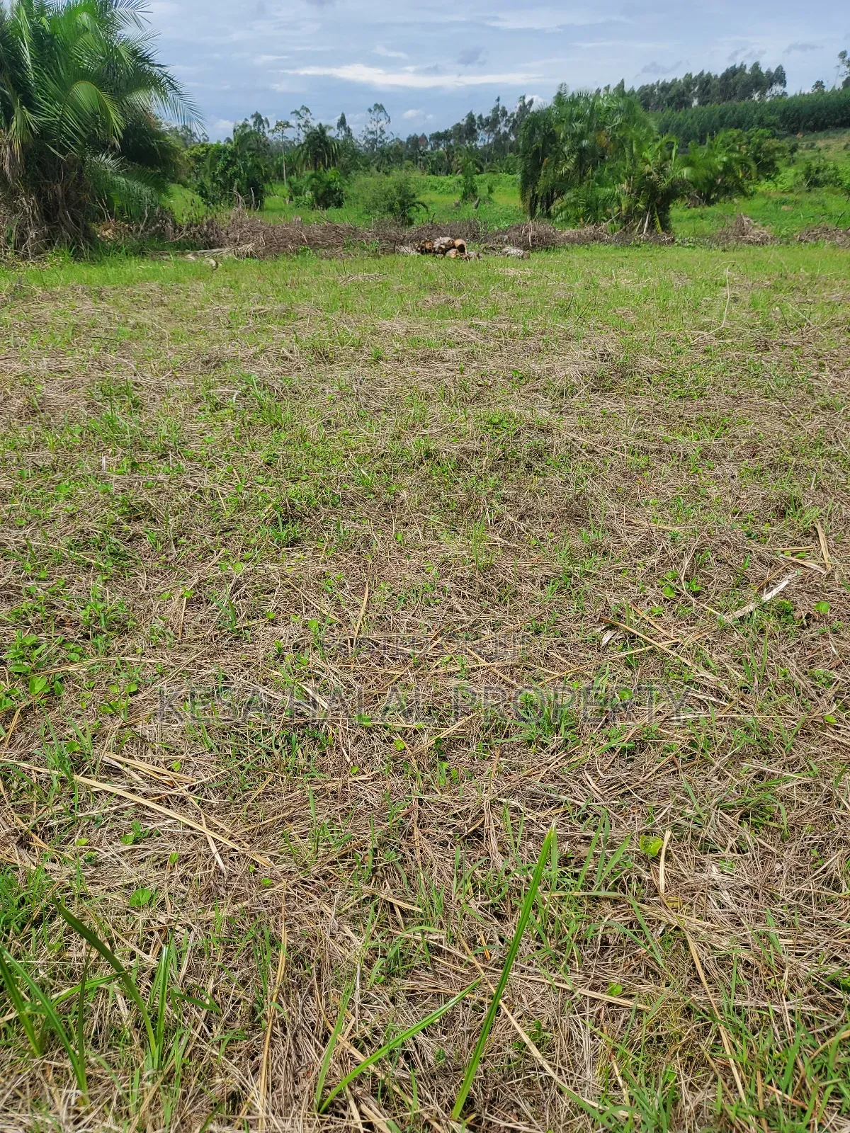Kisenyi Land Titled on Semuto Road in Masulita