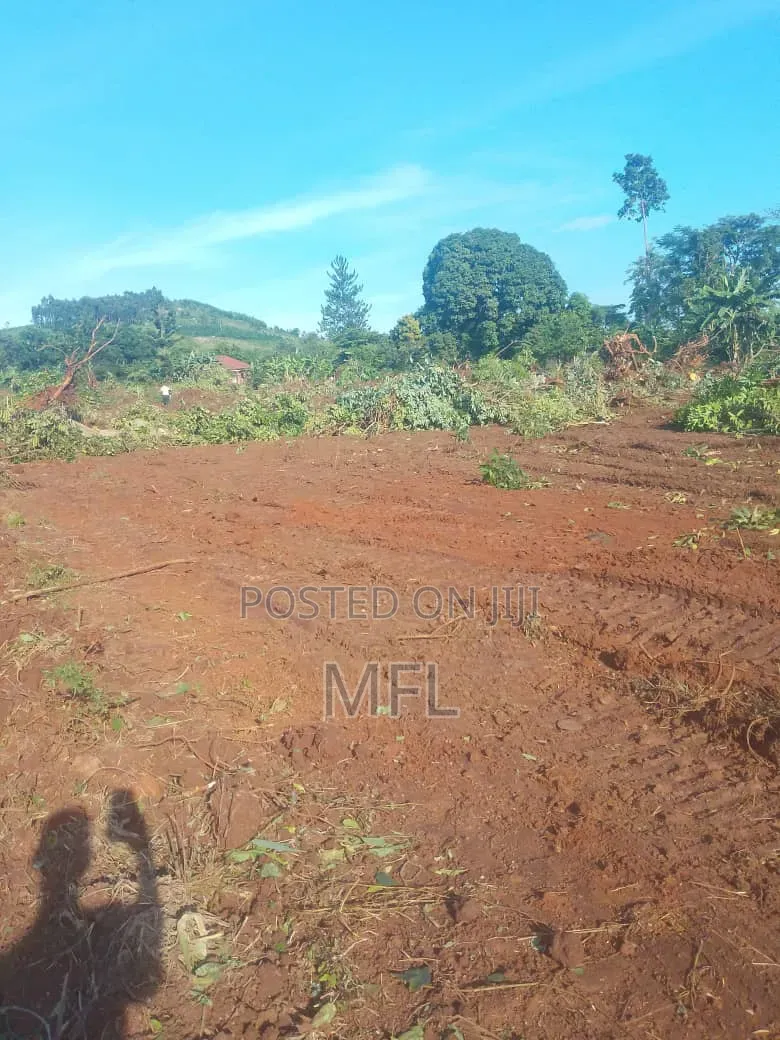 Namayumba Busamba Estate in Wakiso / Wakiso