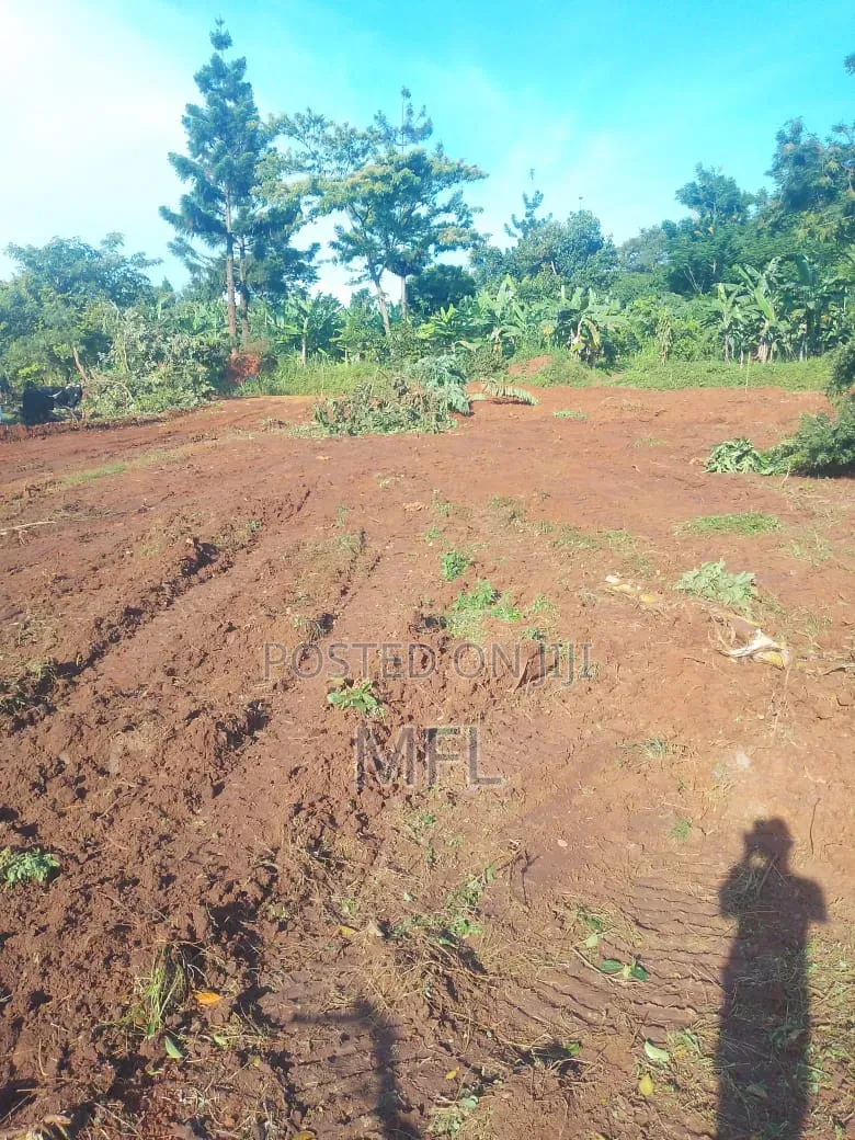 Namayumba Busamba Estate in Wakiso / Wakiso