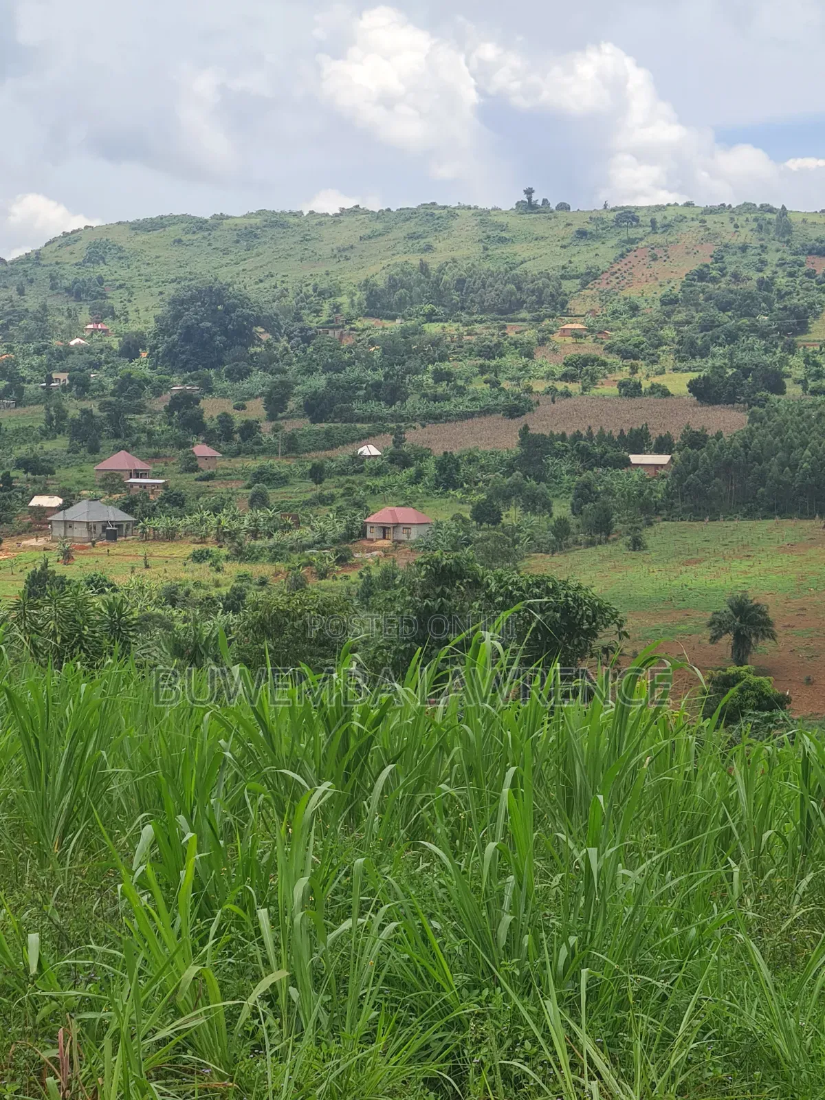 Land for Sale at Buloba Mityana Rd 50x100 in Central Division