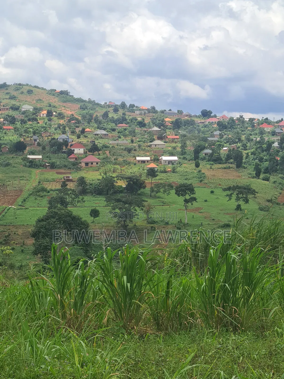 Land for Sale at Buloba Mityana Rd 50x100 in Central Division