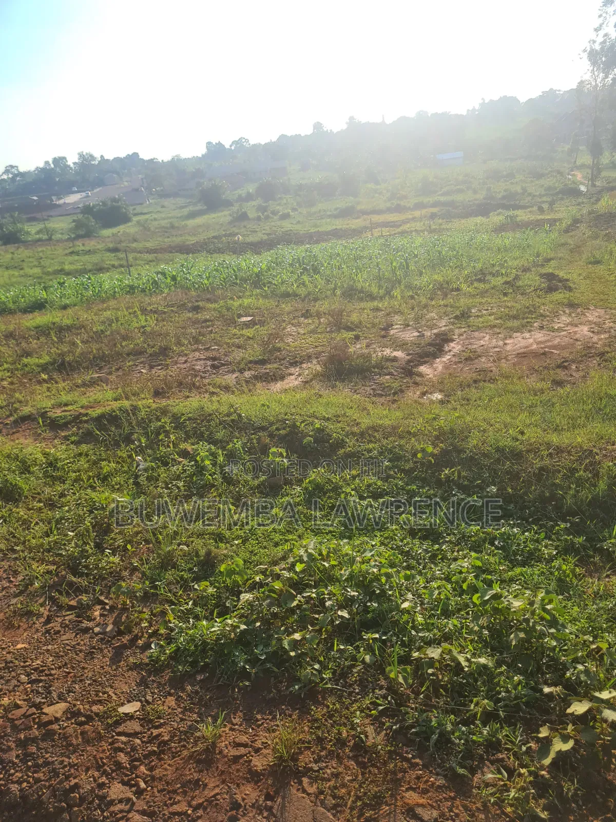 Land for Sale at Sanda Nakawuka Rd 50x100 in Central Division