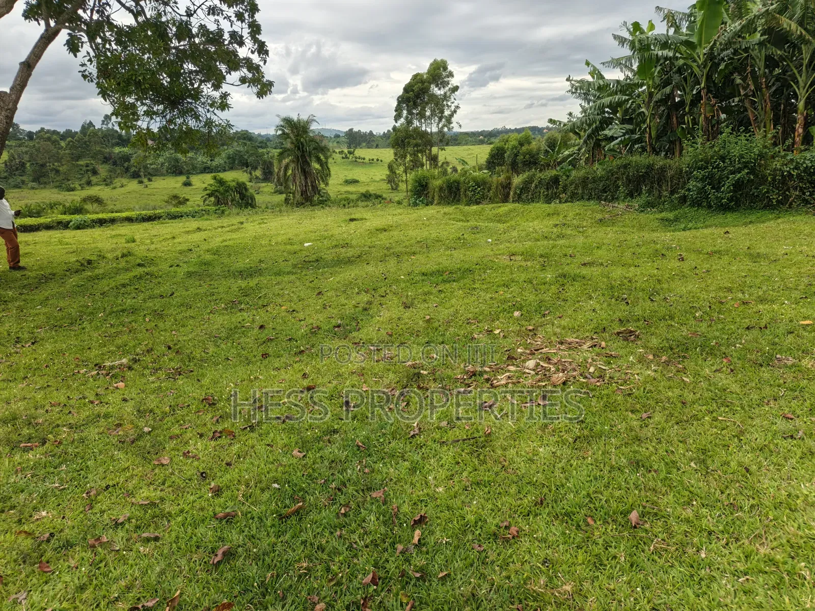 15acres of Titled Land on Sale in Kyenjojo