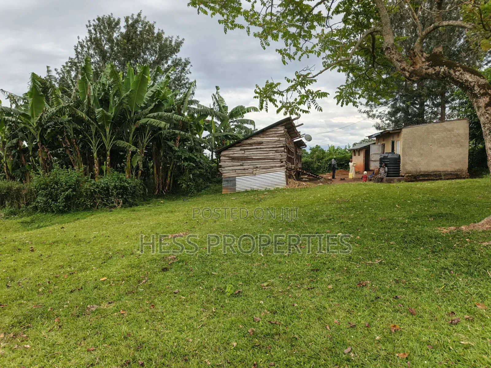 15acres of Titled Land on Sale in Kyenjojo