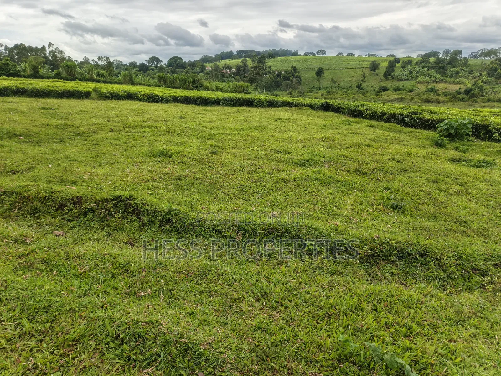 15acres of Titled Land on Sale in Kyenjojo