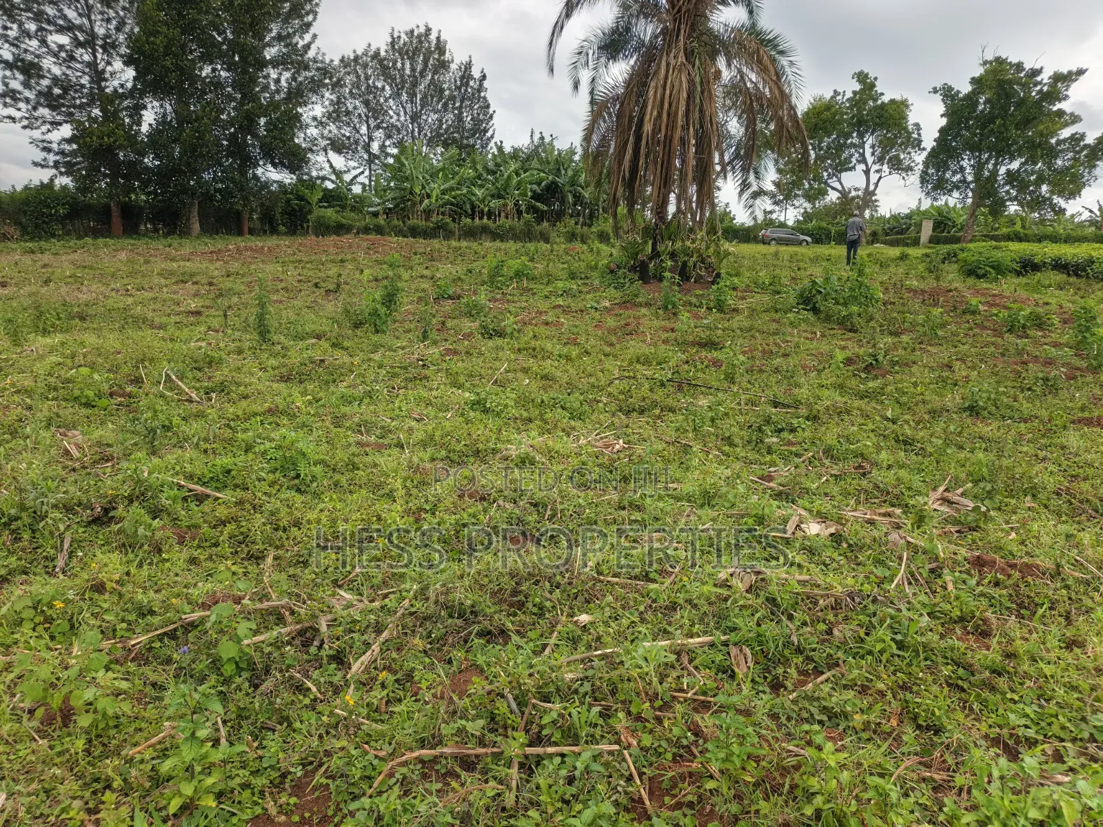 15acres of Titled Land on Sale in Kyenjojo