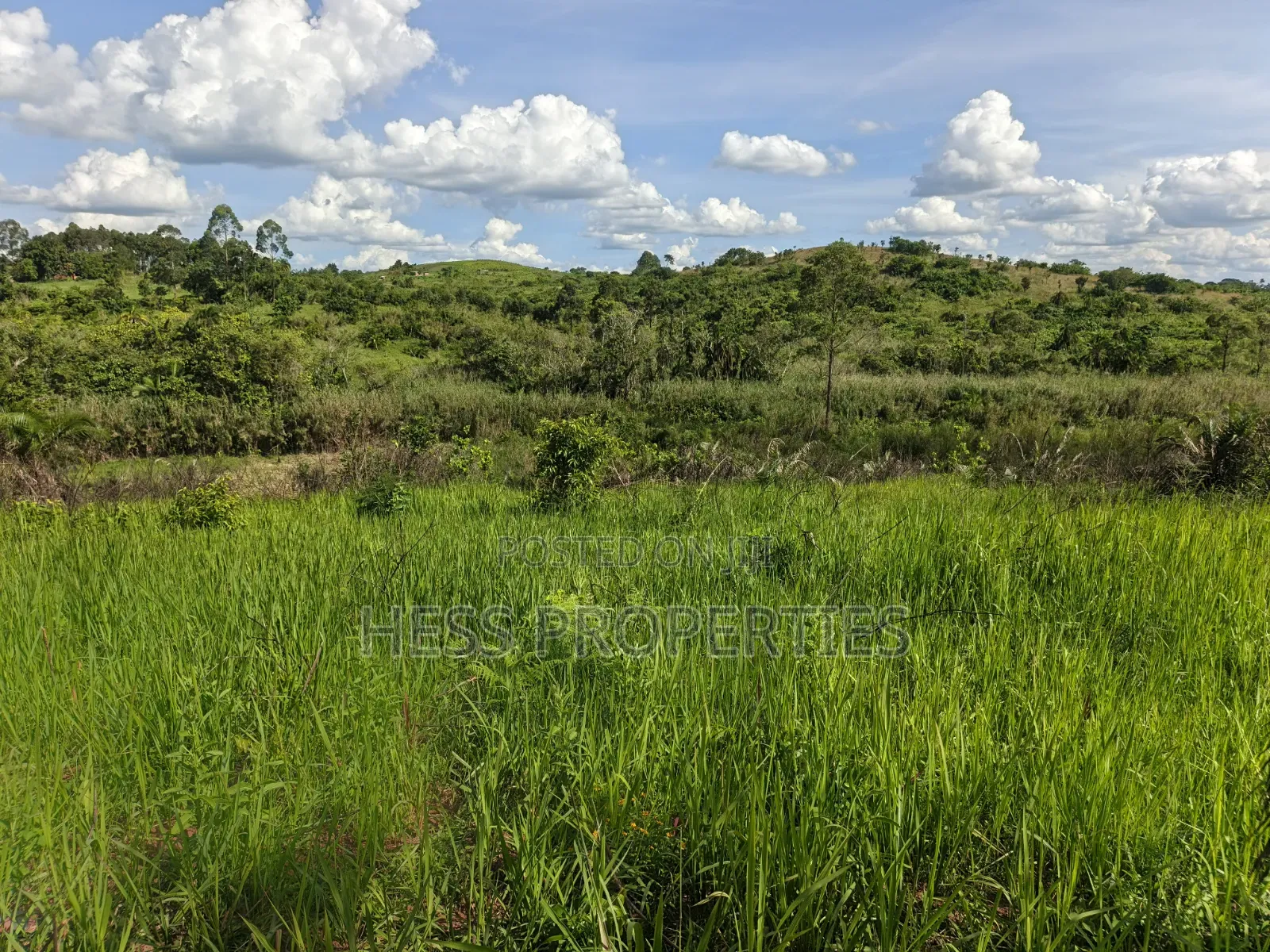 12acres of Land on Sale Located in Kyamulimi in Kyenjojo