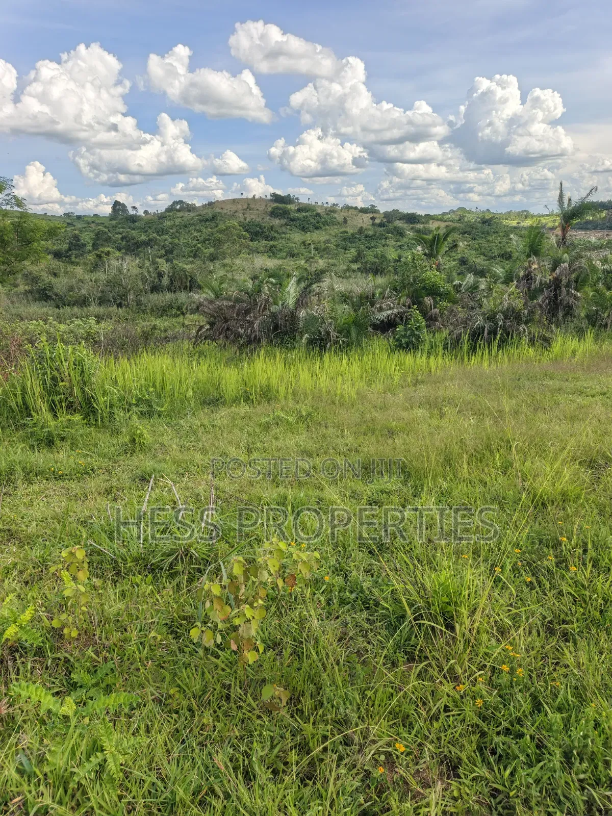 12acres of Land on Sale Located in Kyamulimi in Kyenjojo