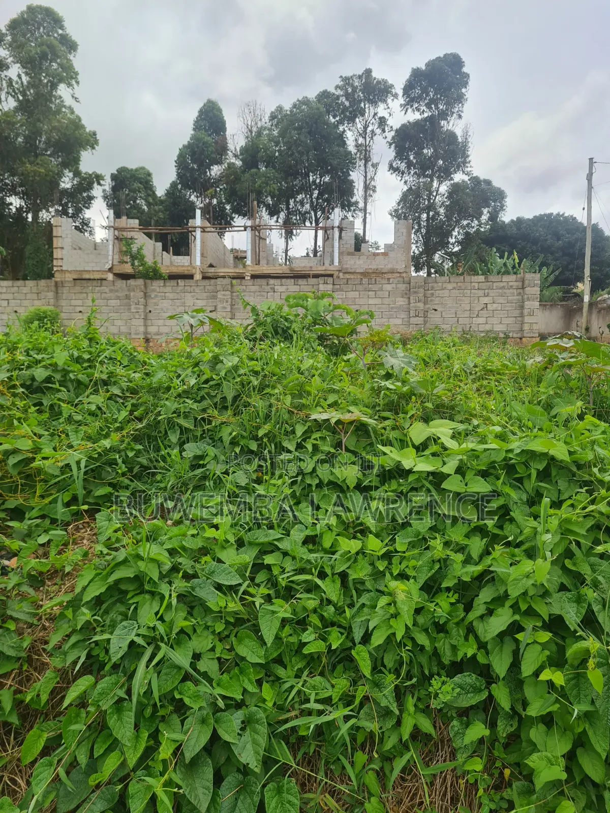 Land for Sale Title in Gayaza Kiwenda Bupai 50x100 in Central Division