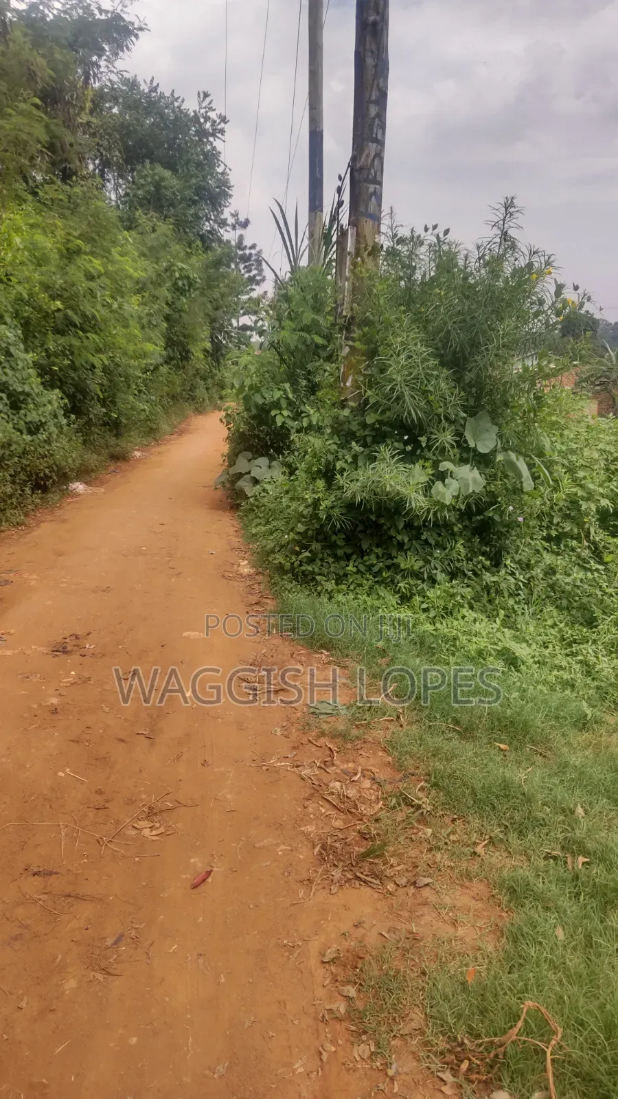 Land 4 Sale From 5m With and Title in Wakiso / Wakiso