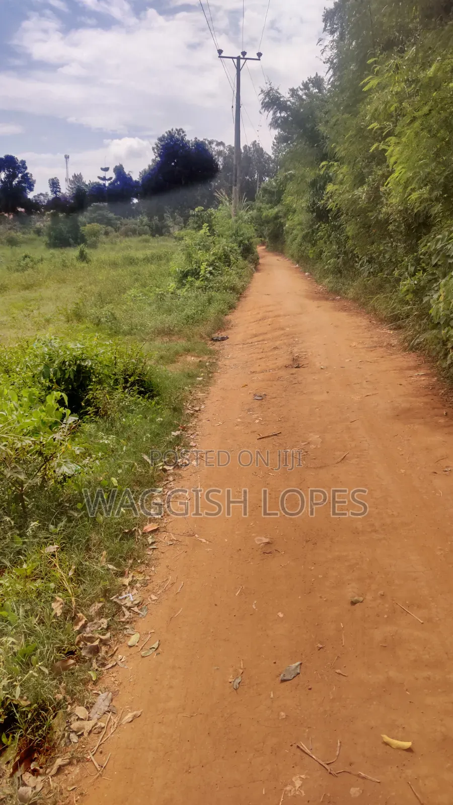 Land 4 Sale From 5m With and Title in Wakiso / Wakiso