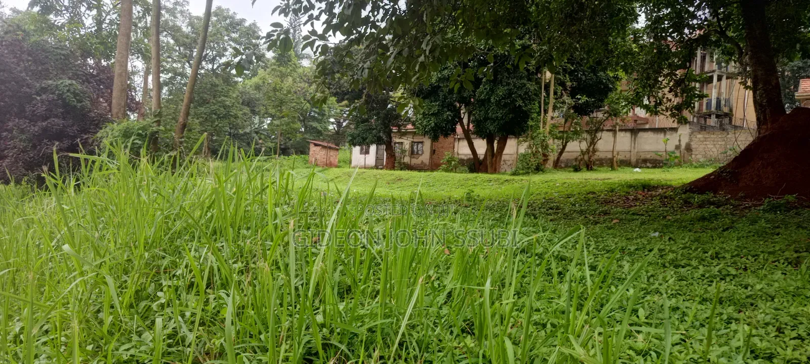 54 Decimals Commercial Land in Muyenga in Makindye