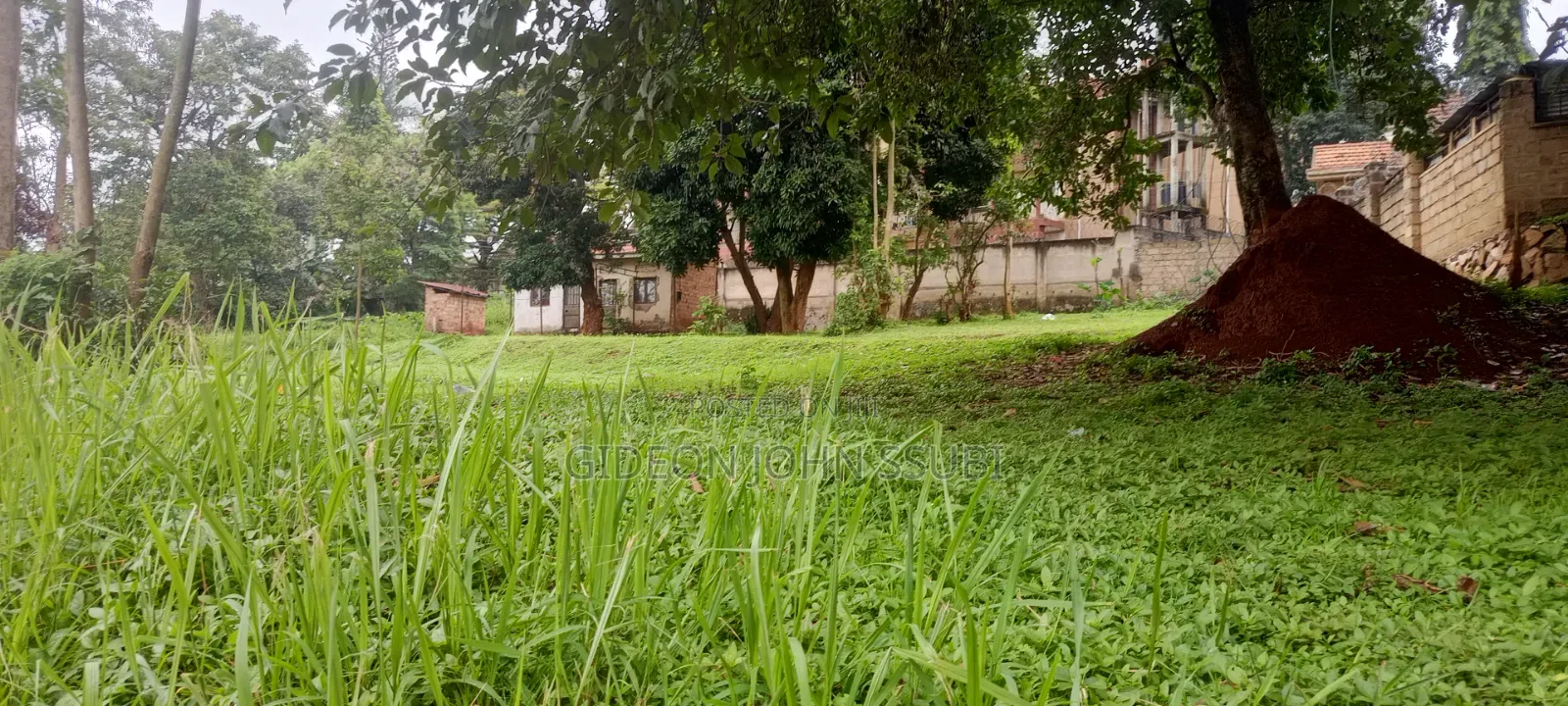54 Decimals Commercial Land in Muyenga in Makindye