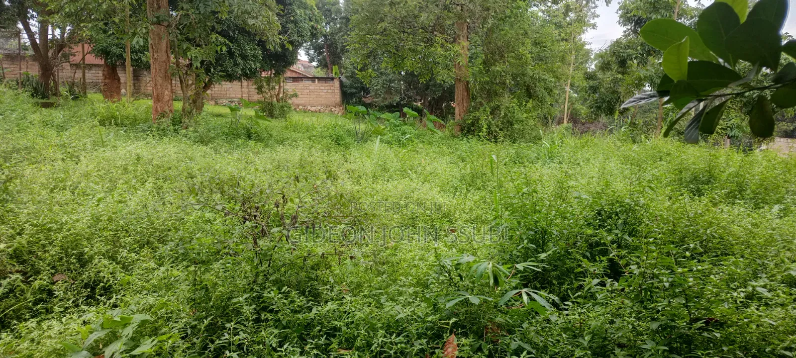 54 Decimals Commercial Land in Muyenga in Makindye