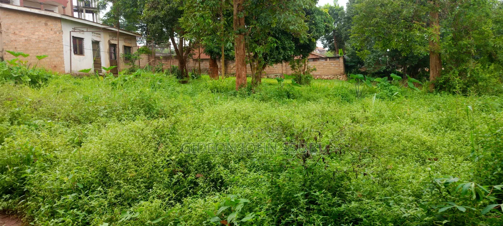 54 Decimals Commercial Land in Muyenga in Makindye
